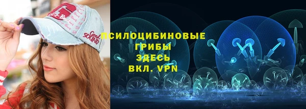 амф Майский