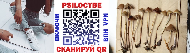 Купить закладки  Калач  Галлюциногенные грибы Psilocybe 
