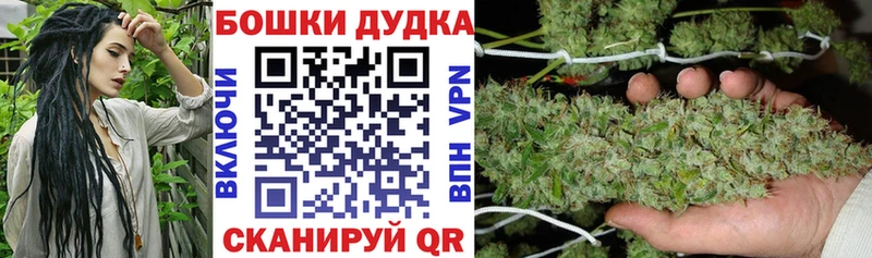 Бошки Шишки Amnesia  Купить закладки  Калач 